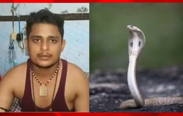 A new revelation has been made in the snake bite of Uttar Pradesh’s Vikas Dubey.